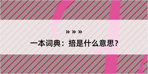 一本词典：掊是什么意思？