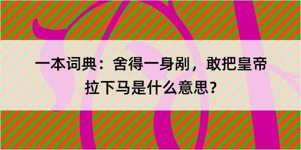 一本词典：舍得一身剐，敢把皇帝拉下马是什么意思？