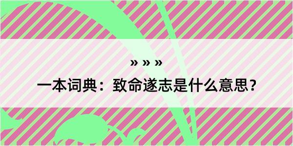 一本词典：致命遂志是什么意思？