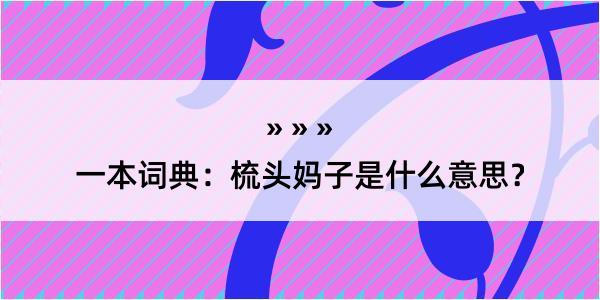 一本词典：梳头妈子是什么意思？