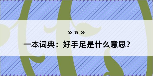 一本词典：好手足是什么意思？