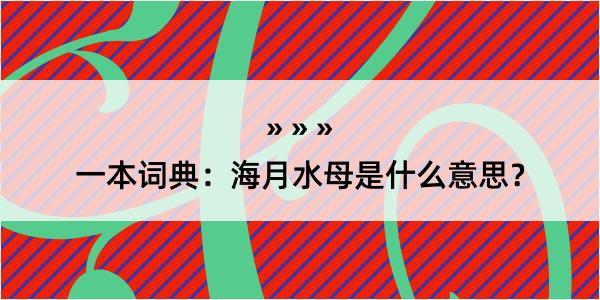 一本词典：海月水母是什么意思？