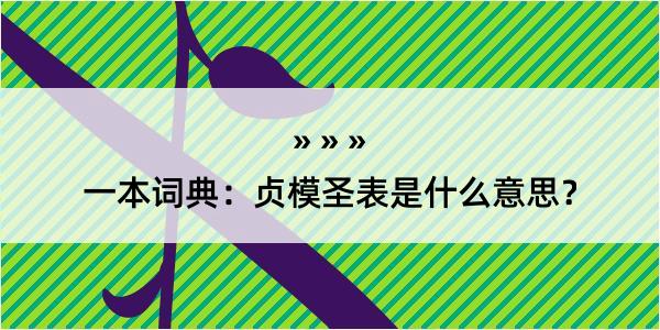 一本词典：贞模圣表是什么意思？