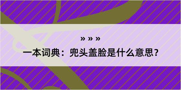 一本词典：兜头盖脸是什么意思？