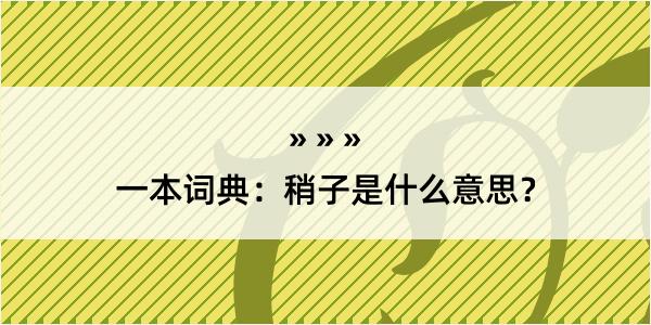 一本词典：稍子是什么意思？