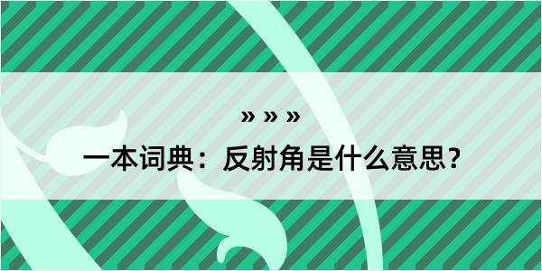 一本词典：反射角是什么意思？