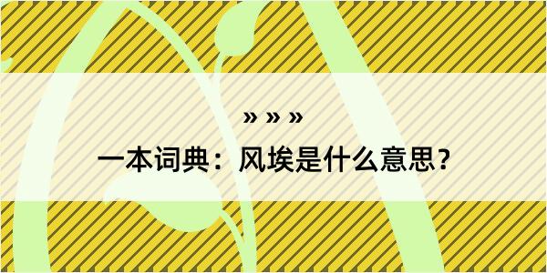 一本词典：风埃是什么意思？