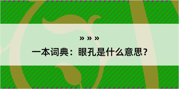 一本词典：眼孔是什么意思？