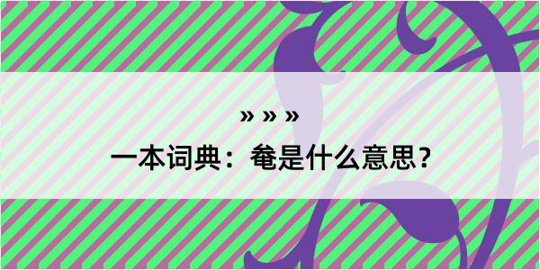 一本词典：奙是什么意思？