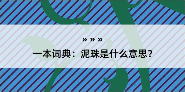 一本词典：泥珠是什么意思？