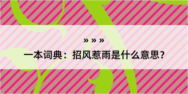 一本词典：招风惹雨是什么意思？