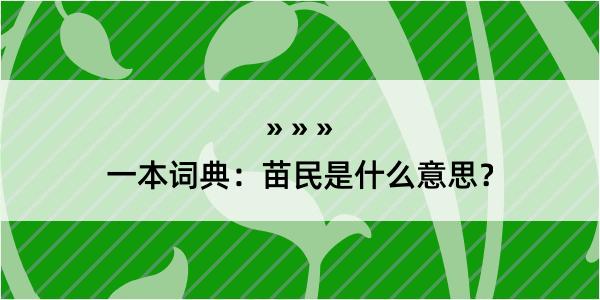 一本词典：苗民是什么意思？