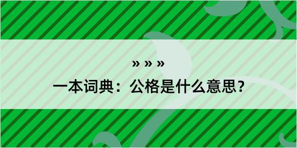 一本词典：公格是什么意思？