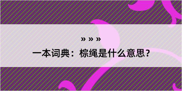 一本词典：棕绳是什么意思？