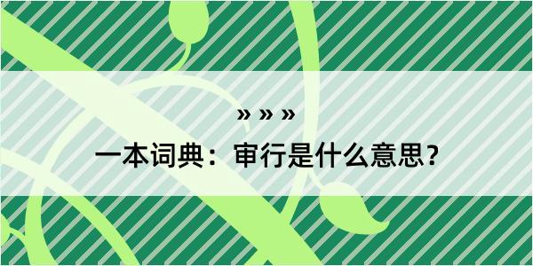 一本词典：审行是什么意思？