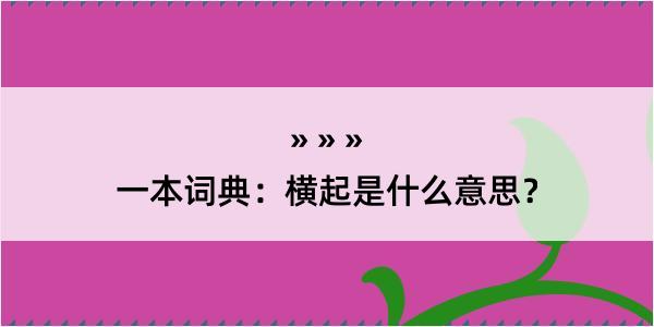 一本词典：横起是什么意思？