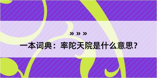 一本词典：率陀天院是什么意思？