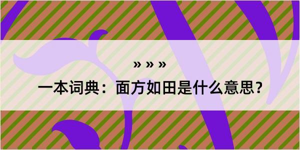 一本词典：面方如田是什么意思？