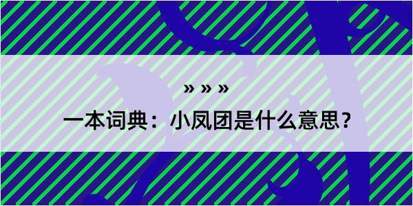 一本词典：小凤团是什么意思？