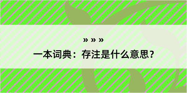 一本词典：存注是什么意思？