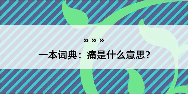 一本词典：痛是什么意思？