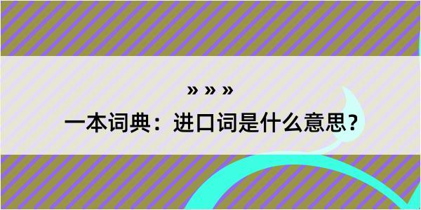 一本词典：进口词是什么意思？