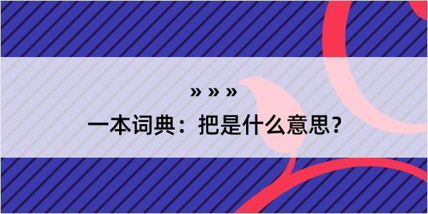 一本词典：把是什么意思？