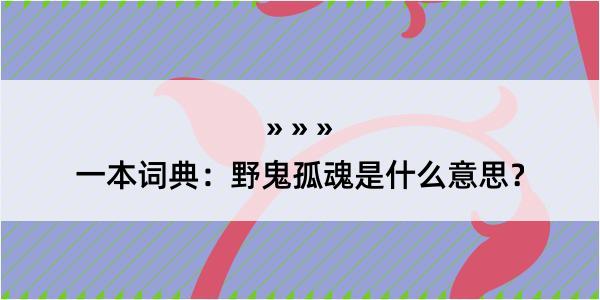 一本词典：野鬼孤魂是什么意思？