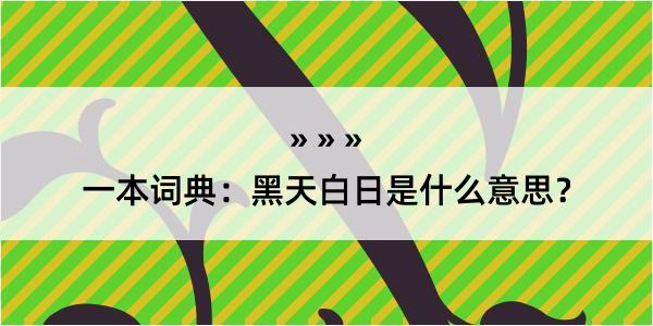 一本词典：黑天白日是什么意思？