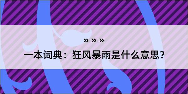 一本词典：狂风暴雨是什么意思？