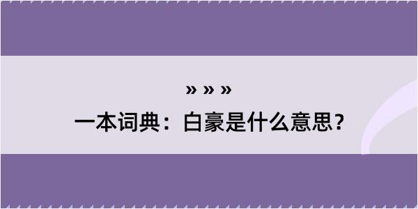 一本词典：白豪是什么意思？