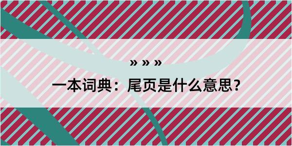 一本词典：尾页是什么意思？