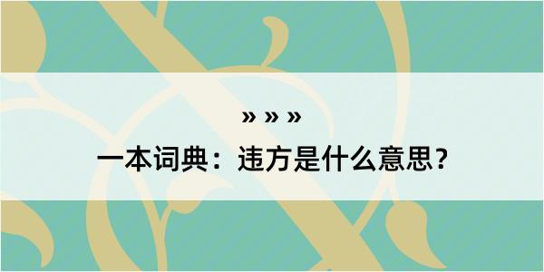 一本词典：违方是什么意思？