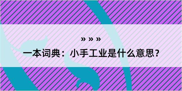 一本词典：小手工业是什么意思？