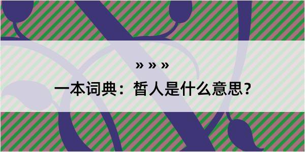 一本词典：皙人是什么意思？