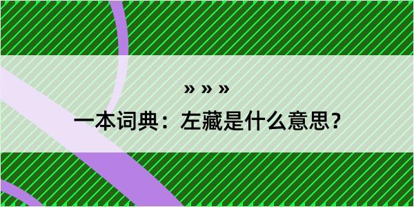 一本词典：左藏是什么意思？