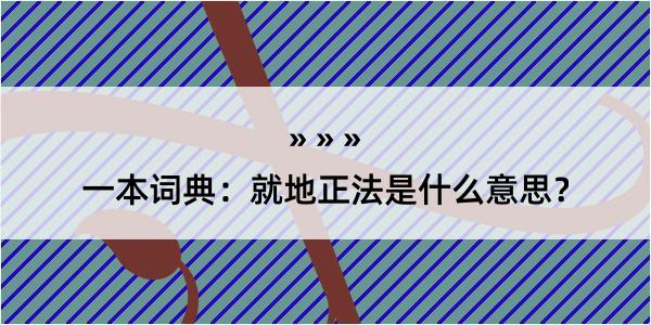 一本词典：就地正法是什么意思？