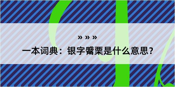 一本词典：银字觱栗是什么意思？