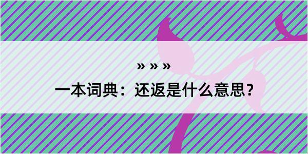 一本词典：还返是什么意思？