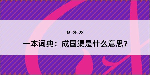 一本词典：成国渠是什么意思？