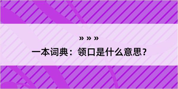 一本词典：领口是什么意思？