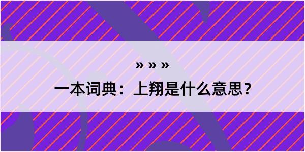 一本词典：上翔是什么意思？