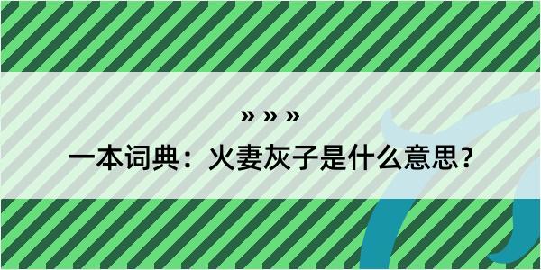 一本词典：火妻灰子是什么意思？