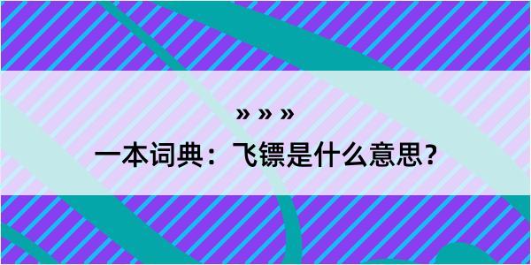 一本词典：飞镖是什么意思？