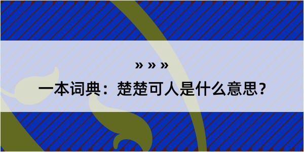 一本词典：楚楚可人是什么意思？