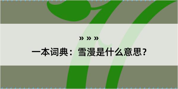 一本词典：雪漫是什么意思？