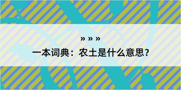 一本词典：农土是什么意思？