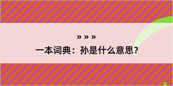 一本词典：孙是什么意思？