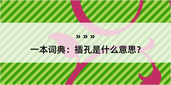 一本词典：插孔是什么意思？