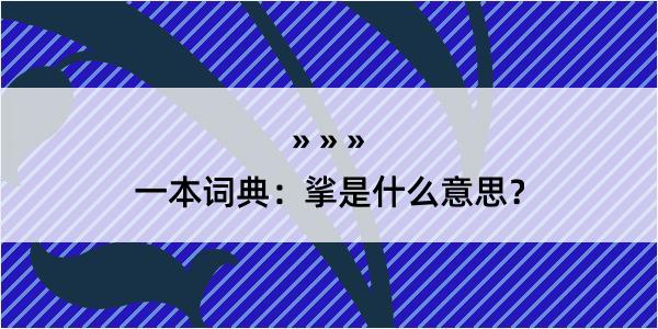 一本词典：挲是什么意思？